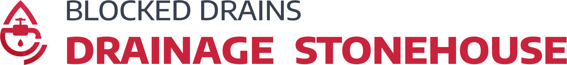 website logo